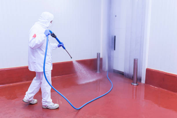 Best Warehouse Cleaning  in Tulia, TX